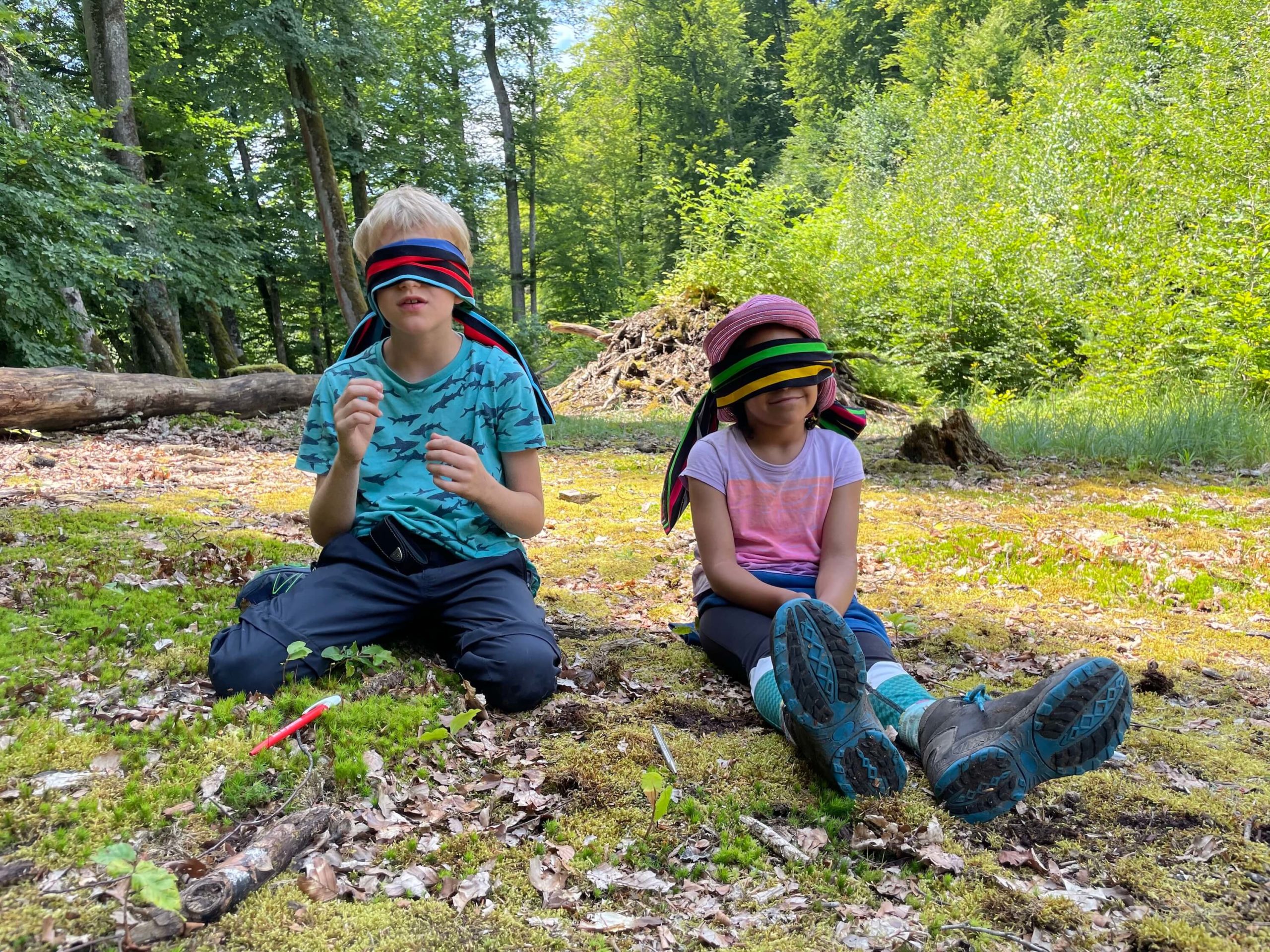 Camp nature pour les enfants en été 2026